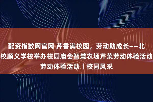配资指数网官网 芹香满校园，劳动助成长——北京市十一学校顺义学校举办校园庙会智慧农场芹菜劳动体验活动丨校园风采